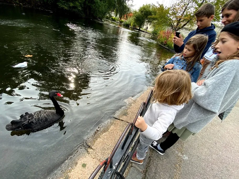 Kids looking at bird in St James Park