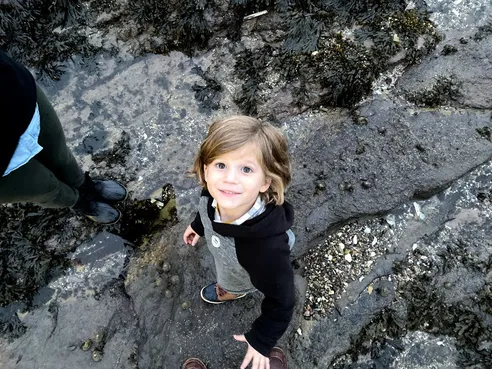 Toddler boy looking up from rocky Scotland beach