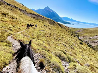 Patagonia Helsingfors Horse Trail