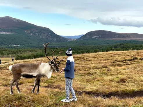 Boy with Reindeer
