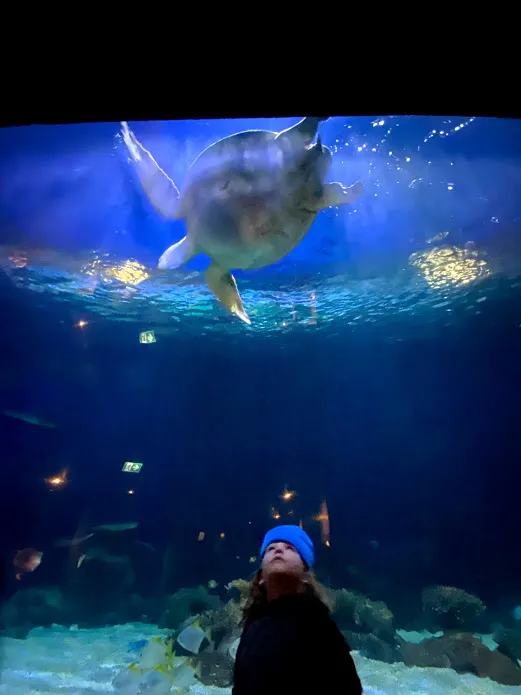 Vancouver with Kids - Aquarium